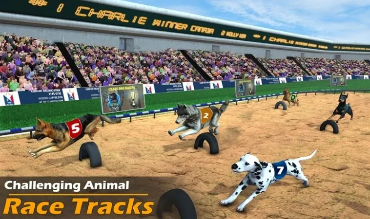 Giao diện chơi game nhanh Đua Chó tại F168